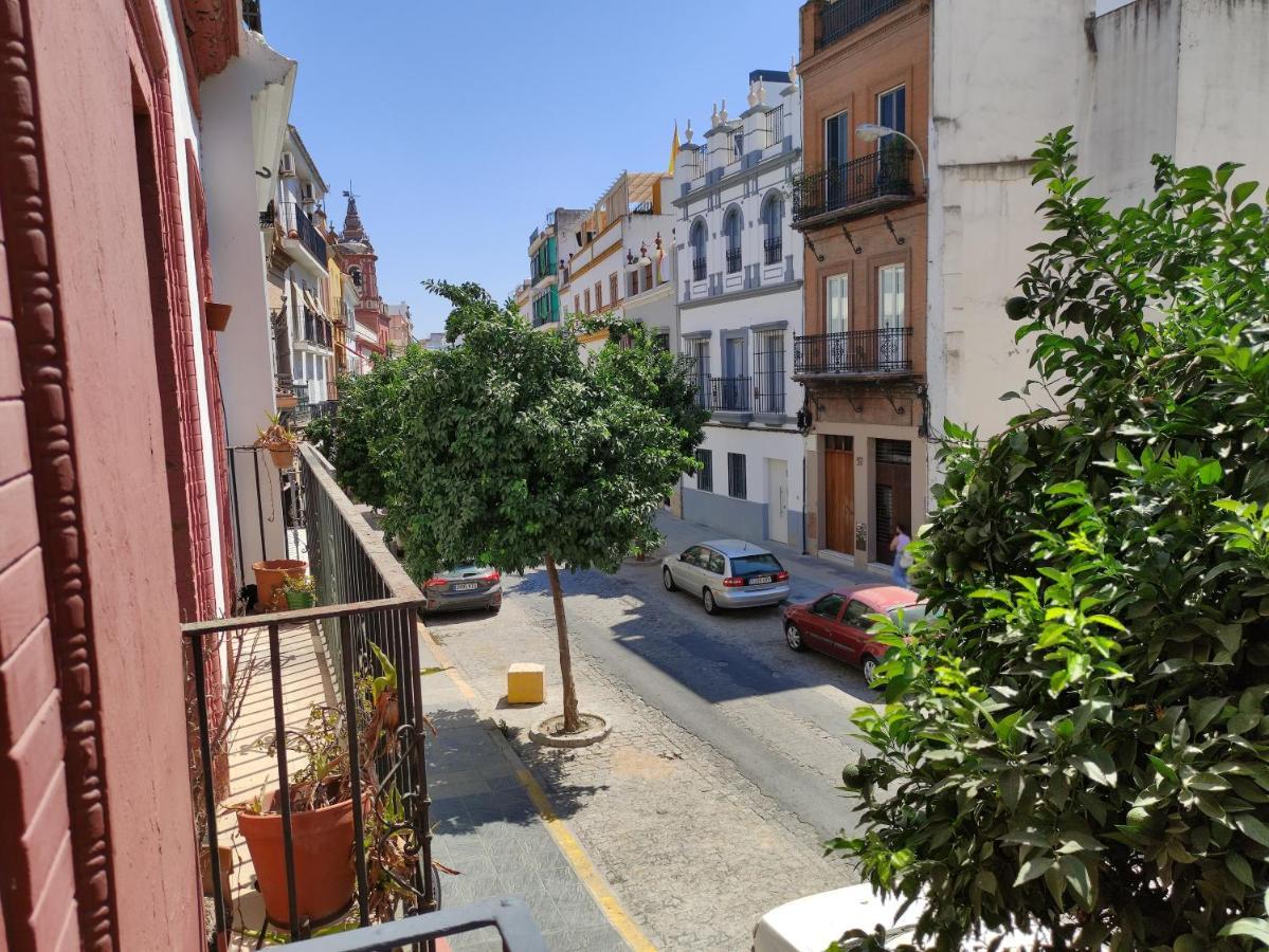 Almona Junto Al Rio - Kainga Homes, Seville