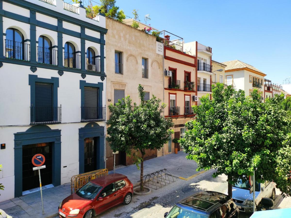 Almona Junto Al Rio - Kainga Homes — Fotos 1
